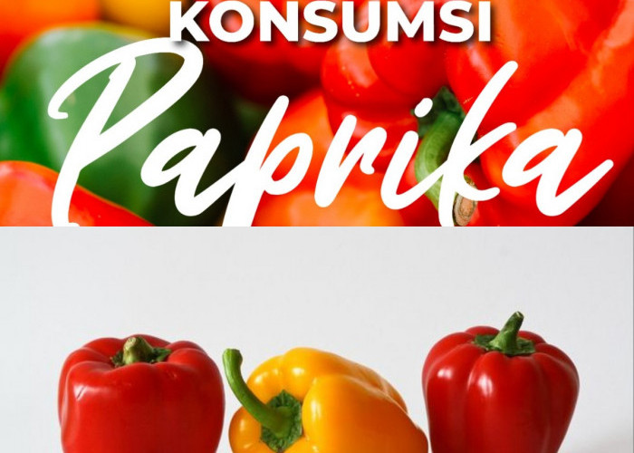 Mau Tahu Rahasia Kesehatan dari Paprika? Ini 5 Manfaatnya yang Wajib Anda Ketahui!