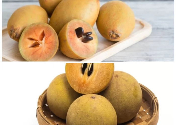 Wajib Tahu! Ini 5 Alasan Buah Sawo Baik untuk Kesehatan Tubuhmu