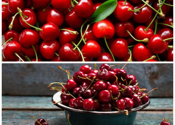 Keajaiban Buah Ceri: Khasiat untuk Tubuh dan Cara Mengolahnya Agar Maksimal