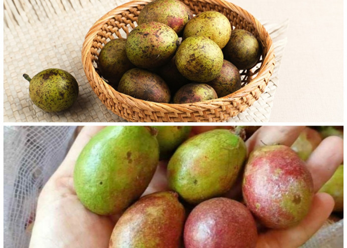 Manfaat Buah Matoa yang Perlu Diketahui untuk Kesehatan: Si Manis dari Papua yang Kaya Nutrisi Alami!