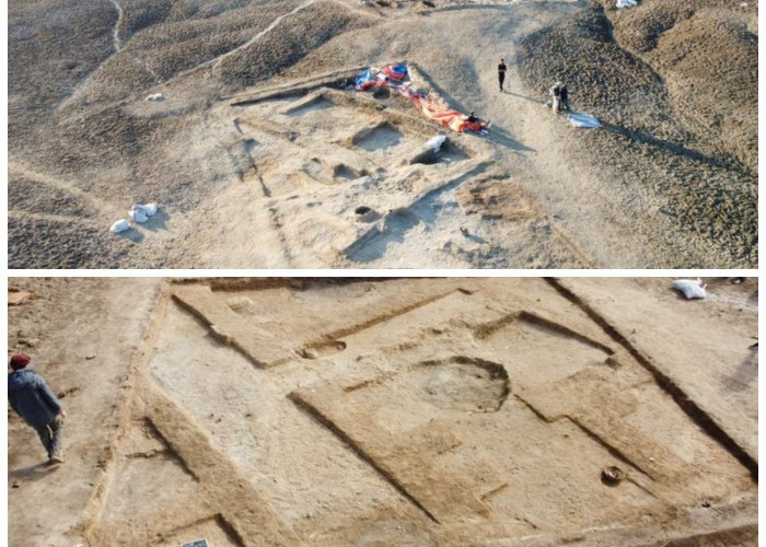 Arkeolog Temukan Grafiti Prasejarah di Iran Buktikan Peradaban Sejarah Manusia Zaman Dahulu 