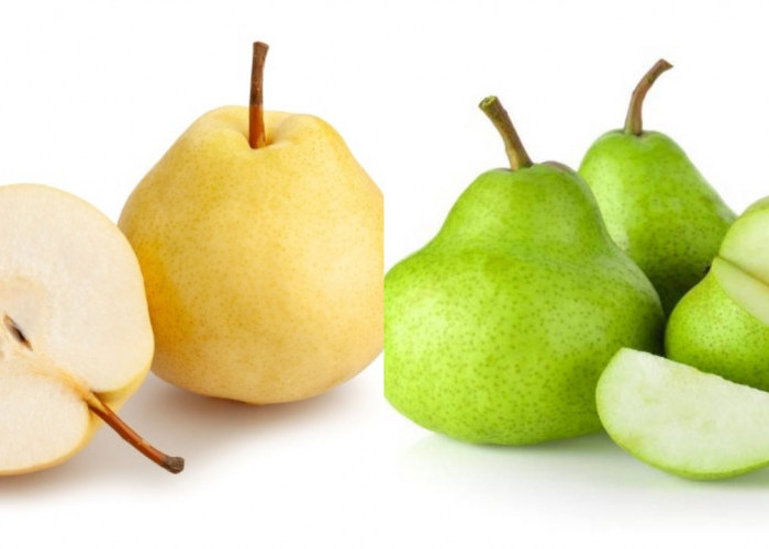 Ternyata Buah Pir Punya Banyak Manfaat untuk Kesehatan, Ini Faktanya!