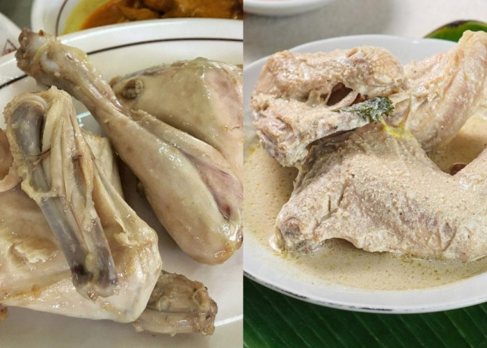 Bikin Penasaran! Inilah Resep Ayam Pop Khas Bukittinggi yang Menggiurkan