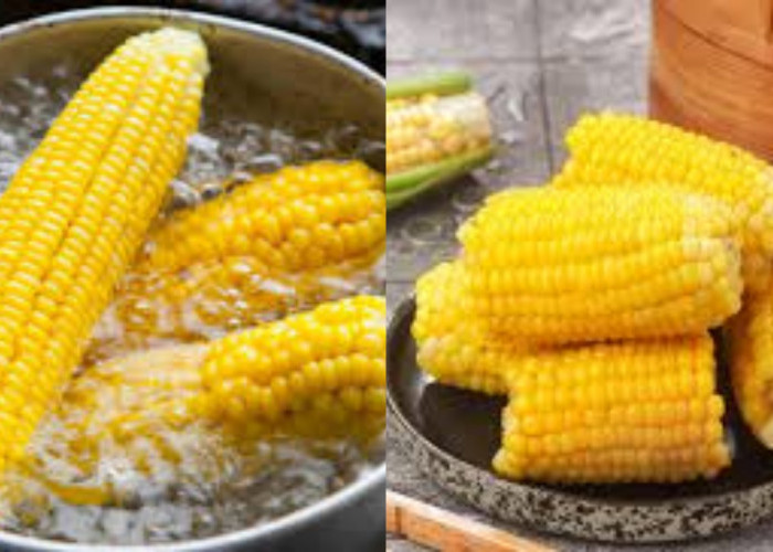 Teryata Ini! Manfaat Jagung Rebus, Menurunkan Gula Darah Sampai Mencegah Katarak