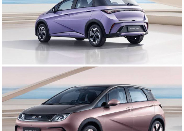 BYD Dolphin 2026 Resmi Meluncur di Indonesia, Mobil Listrik Stylish Harga Mulai Segini Bikin Penasaran!