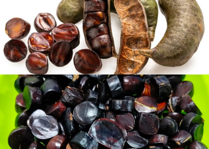 Inilah Keuntungan Kabau untuk Kesehatan! 