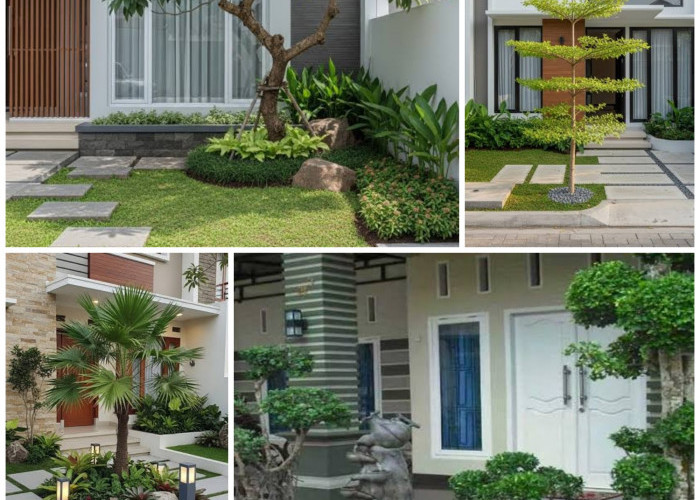 Lahan Sempit Bukan Masalah, 5 Pohon Ini Bikin Taman Rumah Makin Asri