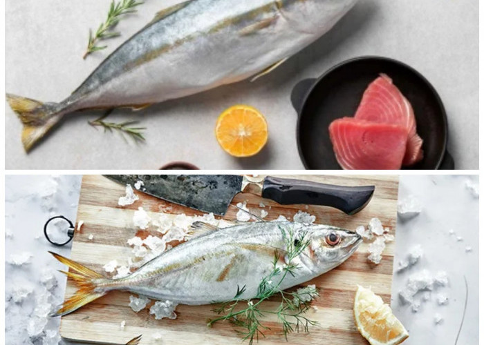 Kaya Gizi dan Omega-3, Inilah 5 Alasan Ikan Tenggiri Baik untuk Kesehatan Anda!