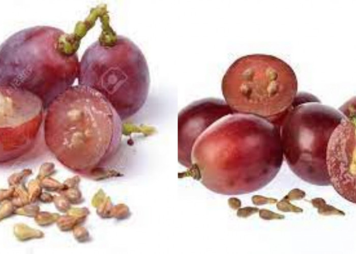 Yuk Intip! Inilah 6 Manfaat Biji Anggur Untuk Kesehatan Yang Luar Biasa