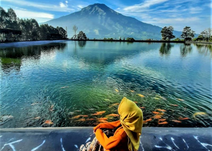 Embung Kledung, Keindahan Alam dan Kemewahan Wisata di Jantung Jawa Tengah