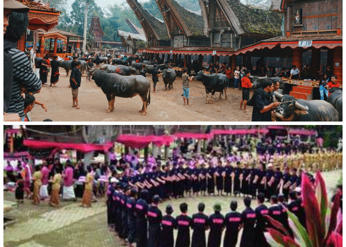 Mengungkap Sejarah dan Filosofi Rambu Solo, Ritual Sakral dari Tanah Toraja