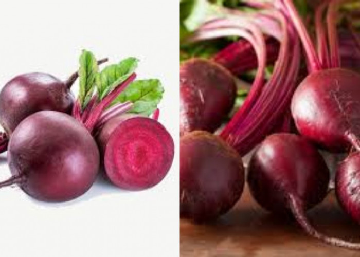 Inilah Kandungan Nutrisi Dan Manfaat Buah Bit Untuk Kesehatan Tubuh Yang Luar Biasa!