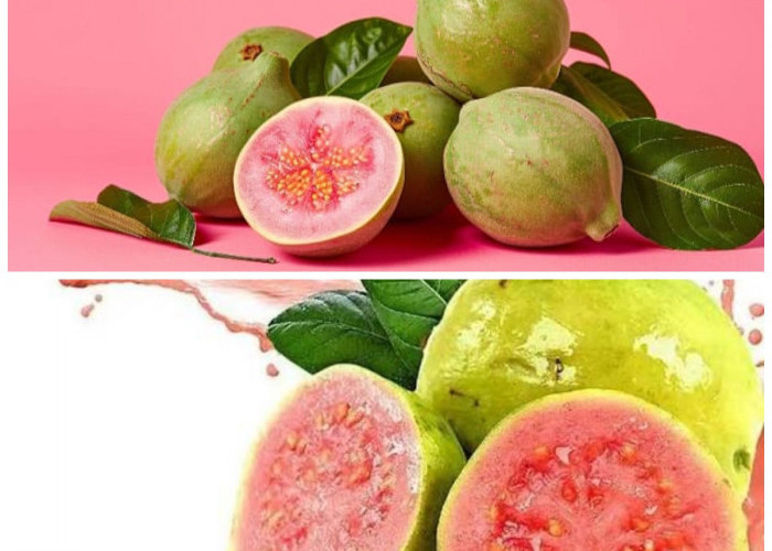 Sering Dilewatkan karena Langka, Jambu Biji Ungu Ternyata Simpan Nutrisi Menakjubkan Ini!