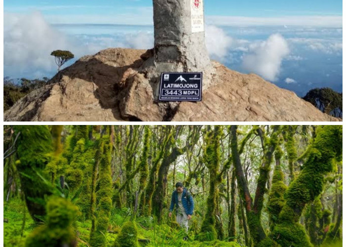 Keindahan Alam Gunung Latimojong: Destinasi Wajib Bagi Pecinta Petualangan