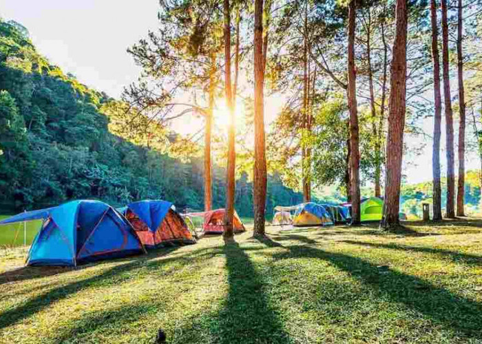 Rekomendasi Tempat Camp yang Sangat Nyaman di Bogor!