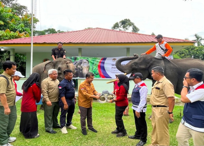 Peduli Lingkungan, HK Pasang GPS Collar Untuk Memantau Pergerakan Gajah
