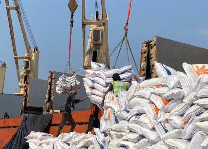 27.000 Ton Beras Impor Vietnam Tiba di Pelabuhan Tanjung Priok, Pasokan Cadangan Beras Pemerintah Diperkuat