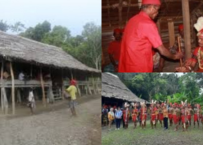 Eksplorasi Kekayaan Tradisi Suku Naulu di Era Modern