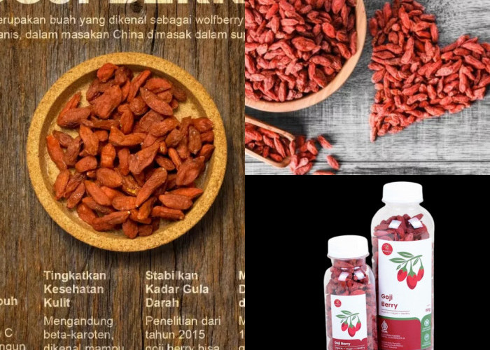 Ingin Mata Sehat dan Energi Maksimal? Coba Goji Berry Sekarang!