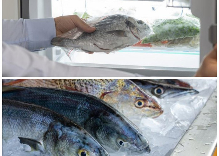 Listrik Mati? Ini Cara Menyimpan Ikan Agar Tetap Segar Tanpa Freezer