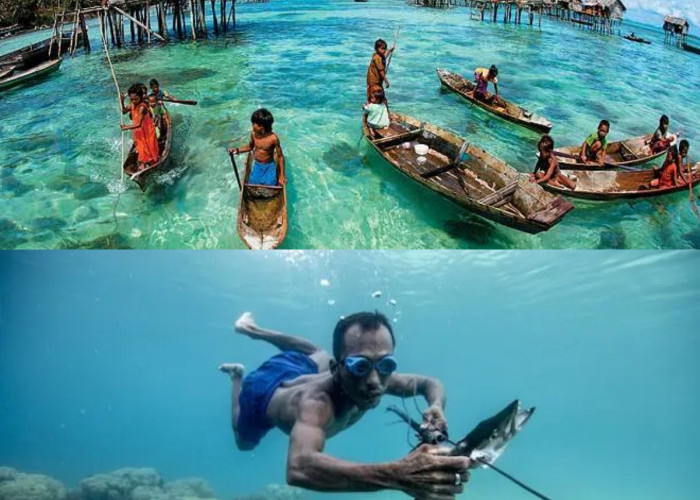 Fakta Suku Bajau: Mampu Menyelam di Laut Sampai Kedalaman 70 Meter dan Bertahan Selama 13 Menit!