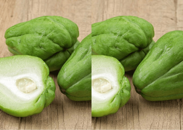 Inilah Kandungan Gizi Dan Manfaat Dari Labu Siam Yang Perlu Kalian Ketahui! 