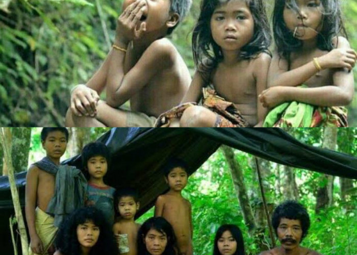 Menelusuri Jejak Sejarah Suku Anak Dalam yang Hidup Hidup Primitif di Pedalaman Sumatera Hingga Saat ini 