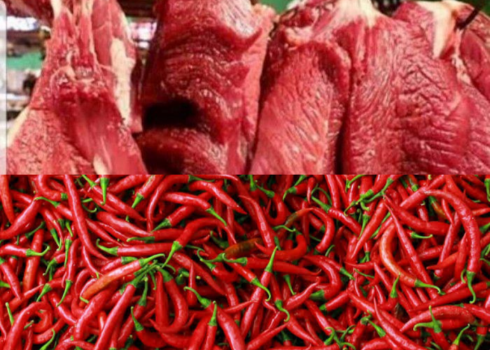 Harga 20 Bahan Pangan di Sumatera Selatan Hari Ini 29 Februari 2024, Daging Sapi Murni dan Cabai Merah Turun