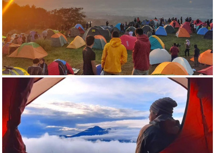 Mengagumkan! Camping di Bukit Alas Bandawasa Cigombong yang Punya Spot Foto dengan Background Alam Keren