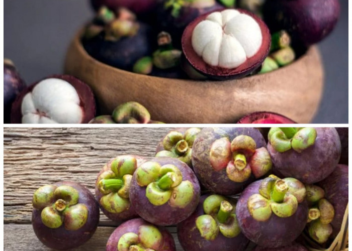 Ketahui 5 Manfaat Buah Manggis untuk Kesehatan: Si Ratu Buah yang Kaya Antioksidan!