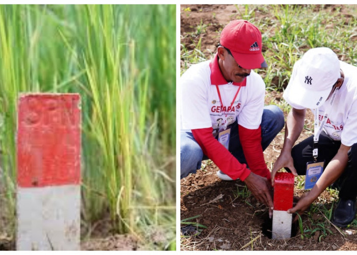 Pastikan Batas Lahan Jelas, Menteri ATR/BPN Ajak Masyarakat Pasang Patok Permanen