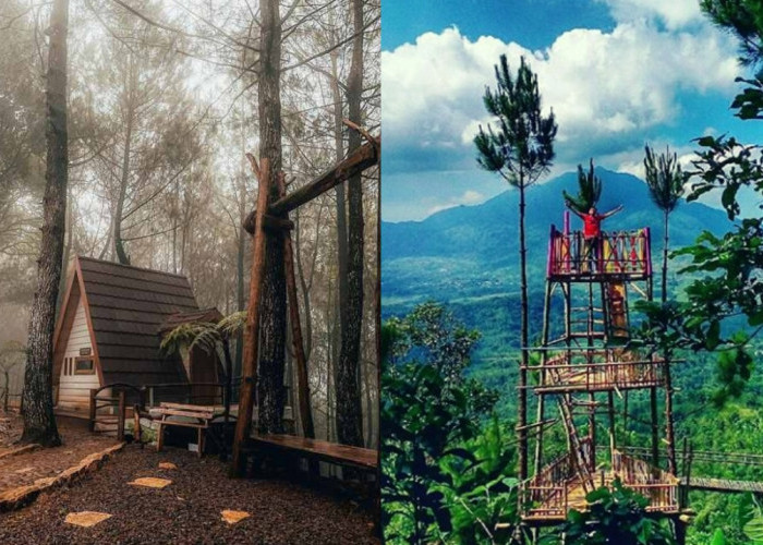 Bingung Cari Spot Foto Menarik? Wisata Alam Sukorini Bisa Jadi Pilihan Untuk Liburan Nataru!