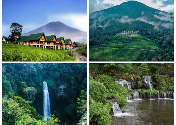 Rekomendasi Wisata Kota Pagaralam: Menjelajahi Pesona Alam, Budaya, dan Sejarah di Kaki Gunung Dempo!