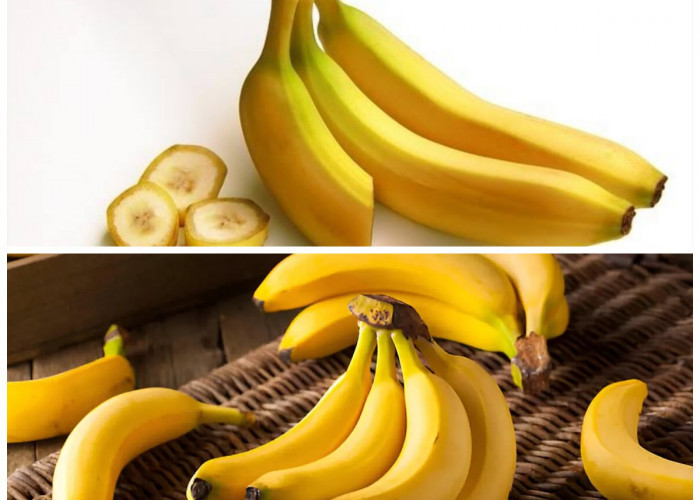 Manfaat Pisang Mas bagi Kesehatan Tubuh: Buah Mungil dengan Segudang Khasiat!