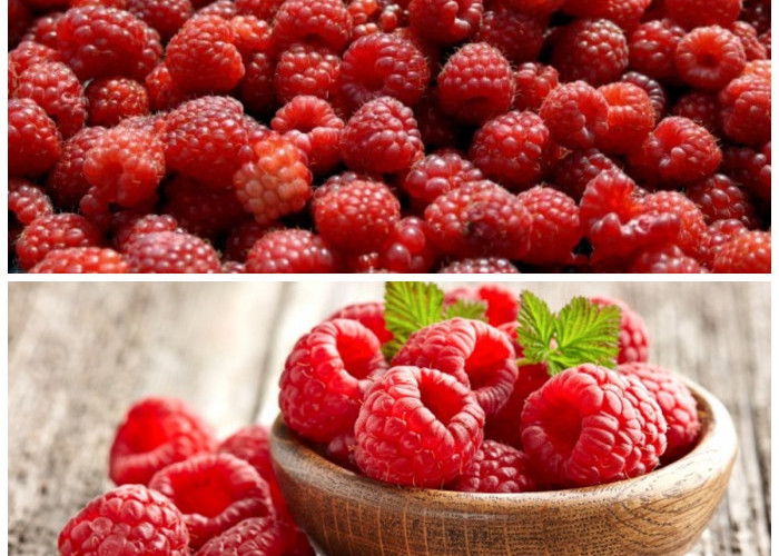 Raspberry: Buah Kecil dengan Manfaat Besar untuk Kesehatan Tubuh Anda