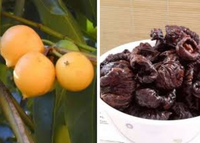 Inilah 7 Manfaat Asam Kandis Untuk Kesehatan Tubuh Yang Perlu Kamu Tahu