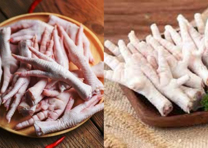 Ketahui Inilah Manfaat Ceker Ayam Untuk Kesehatan Tubuh Yang Melimpah!