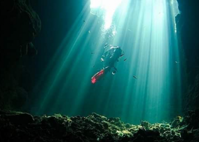 Eksplorasi Keindahan Tersembunyi, Gua Bawah Laut Terbaik untuk Cave Diving di Indonesia
