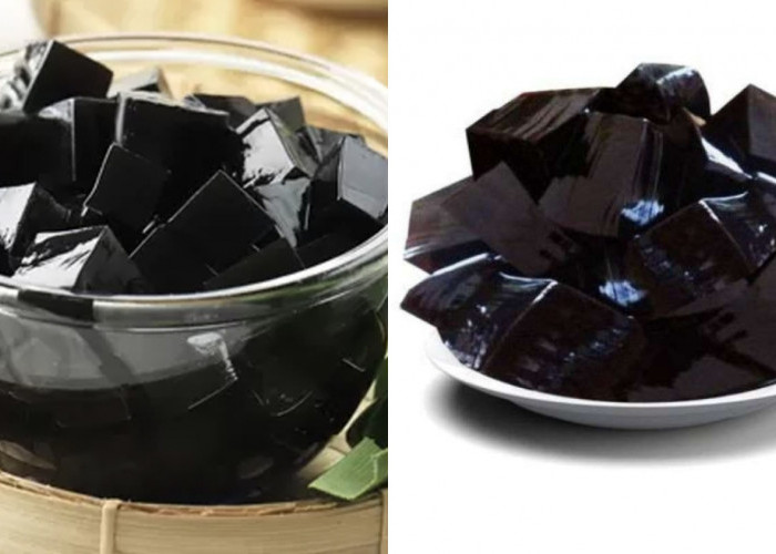 Jarang Diketahui Inilah Manfaat Cincau Untuk Kesehatan Tubuh Kamu Harus Tahu! 