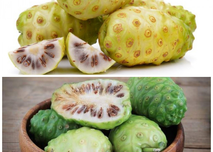 7 Khasiat Buah Pace (Mengkudu) untuk Kesehatan dan Waspadai Efek Sampingnya!