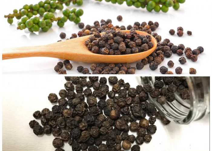 Rahasia Sehat dari Lada Hitam, Rempah Kecil dengan Khasiat Luar Biasa