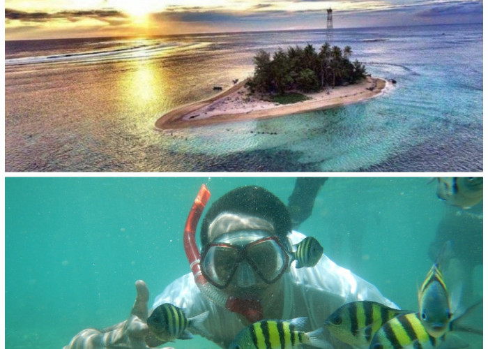 Serunya Snorkeling di Pulau Tikus, Menjelajahi Keindahan Bawah Laut Bengkulu