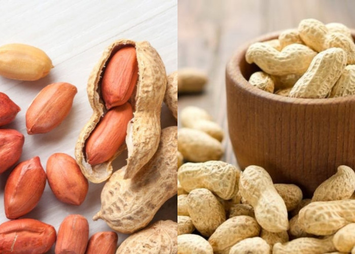 Wajib Tahu Teryata Manfaat Kacang Tanah Bisa Menurunkan Risiko Kanker Loh Guys! 