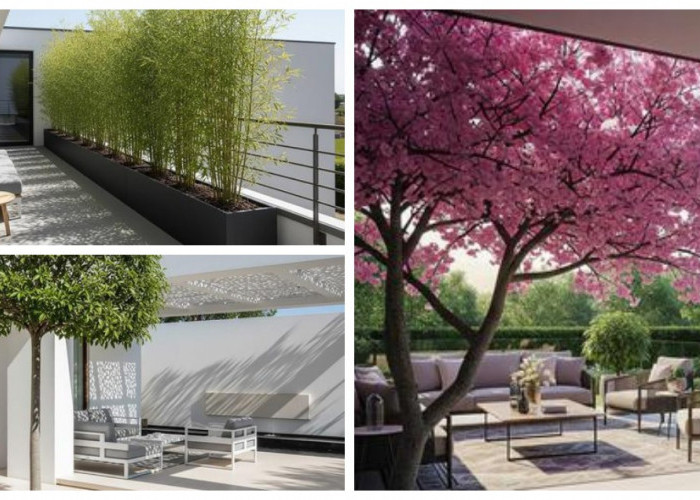 Tetap Terang dan Sejuk! 7 Model Teras Rumah dengan Pohon Peneduh yang Gak Bikin Ruangan Gelap