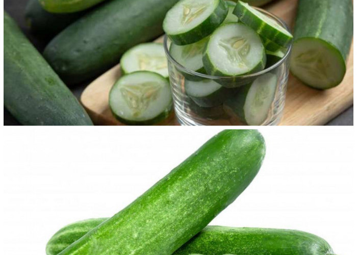 Timun untuk Darah Tinggi, Ini Manfaat dan Tips Mengolahnya!