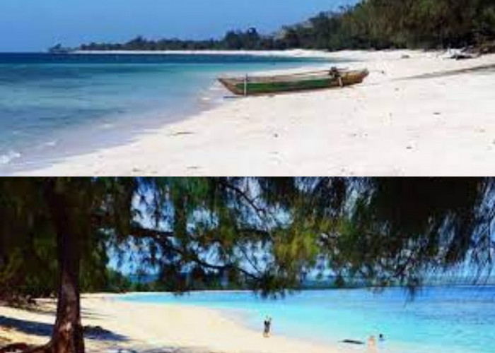 Menyusuri Pesona Wisata Pantai Puru Kambera dengan Keindahan Alam Sumba Timur 