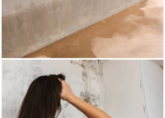 Dinding Bocor? Ini 5 Solusi Praktis Mengatasinya Tanpa Renovasi Besar