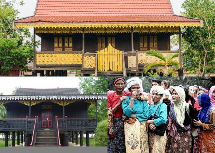 Bagaimana Rumah Adat Suku Batin Jambi Tetap Bertahan? Mengupas Warisan Warisan Budaya di Kampung Lamo