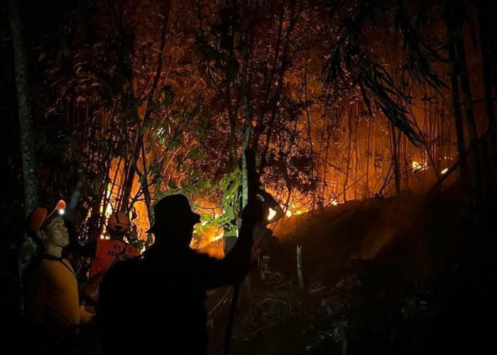 Karhutla di Pagar Alam Kian Meluar, 7 Hektar Lahan Hangus Dilalap Si Jago Merah