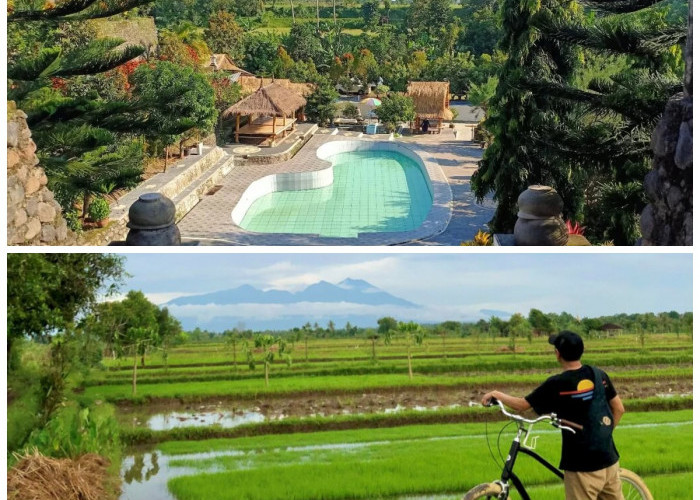 Wisata Alami, Eksplorasi Keindahan Desa Bilebante di Pulau Lombok